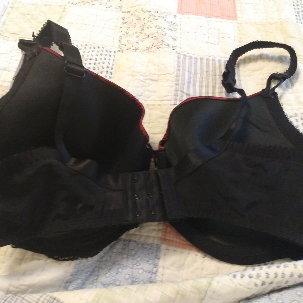 Curves Floral Bra